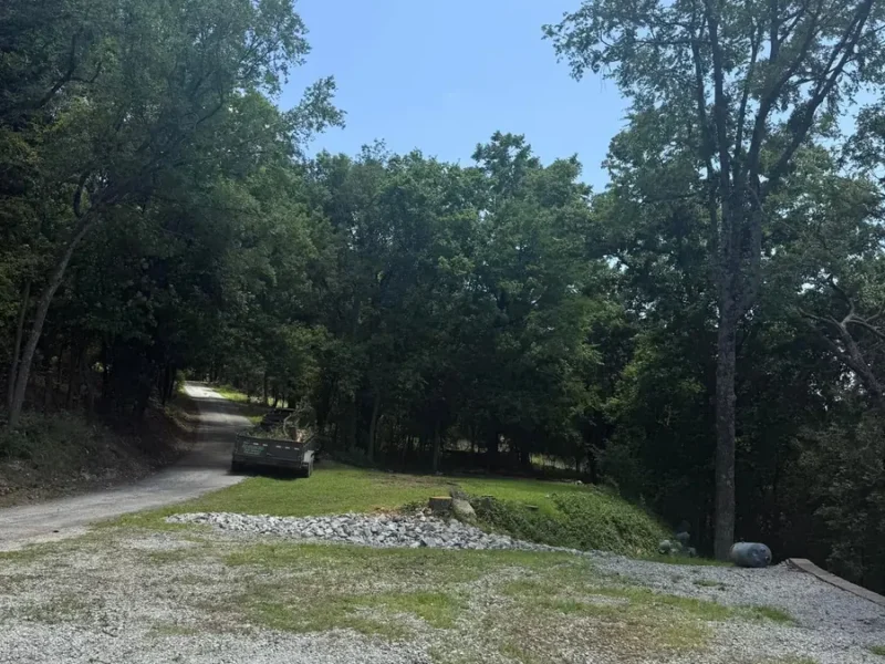 Same gravel driveway cleared of the fallen tree, stump cut low and brush loaded on a trailer in Tampa, FL