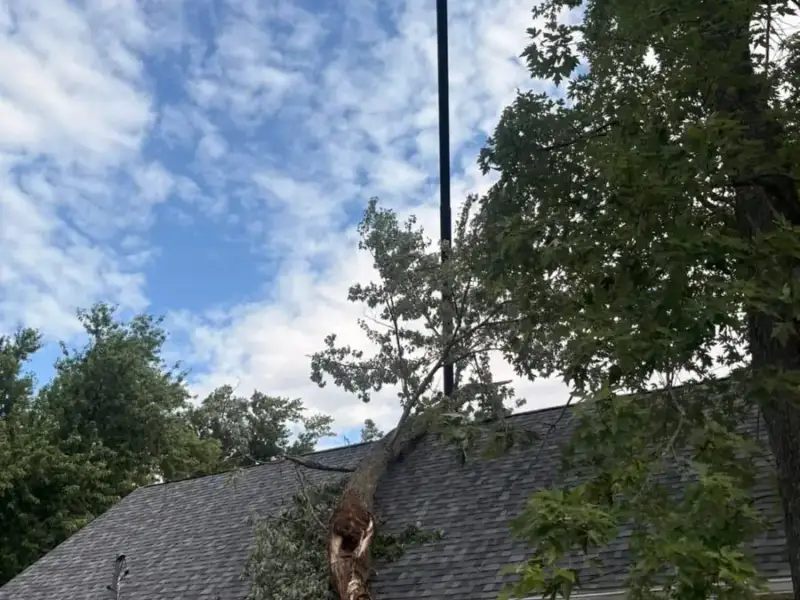 Large tree trunk fallen across the roof of a dark-sided home with a crane boom set up for removal in Tampa, FL