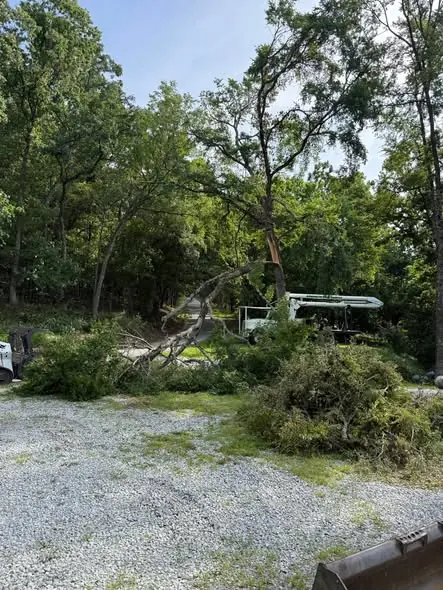 Snapped tree lying across a gravel driveway with a bucket truck arriving to clear it in Tampa, FL