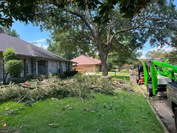Brick ranch home with cut oak branches piled on the lawn and a green lift staged in the driveway in Tampa, FL