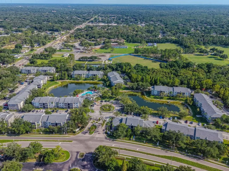 Aerial view of a Brandon, FL neighborhood with mature oak trees