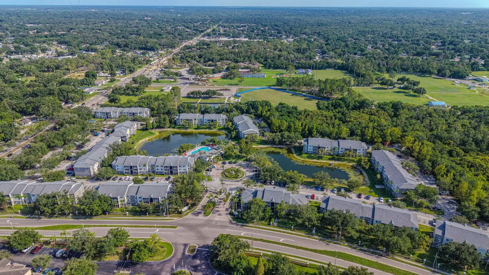 Aerial view of a Brandon, FL neighborhood with mature oak trees