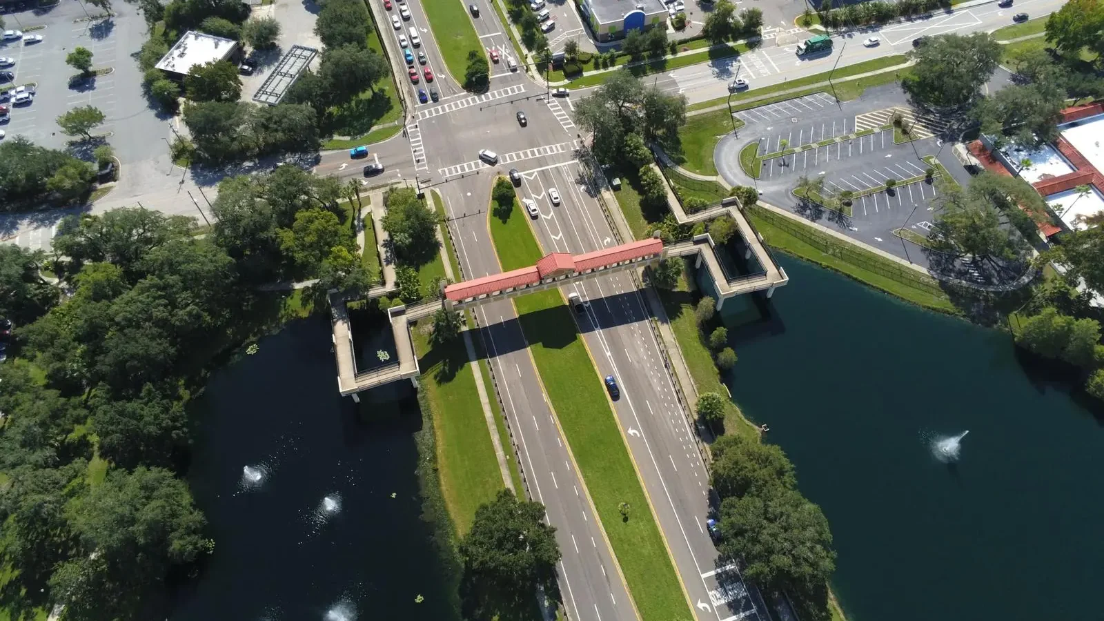 Overhead view of a Lutz, FL road and ponds lined with live oaks