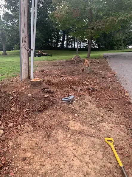Cleared roadside strip beside a utility pole where several tree stumps were ground out in Tampa, FL