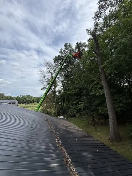 Green aerial lift extending over a metal roof to remove a tree growing close to a building in Tampa, FL
