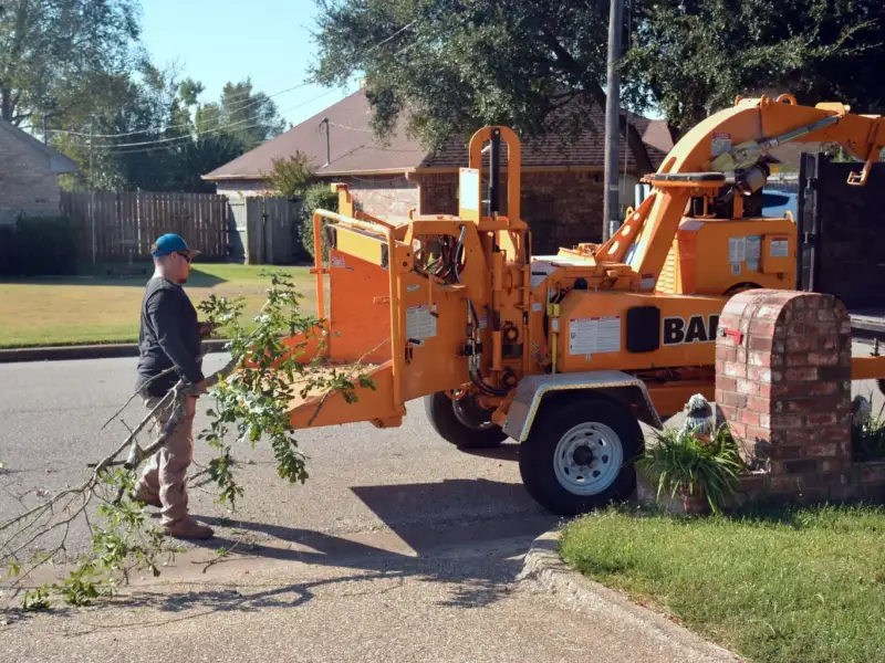 Tree service worker feeding cut oak branches into a wood chipper on a residential street in Tampa, FL
