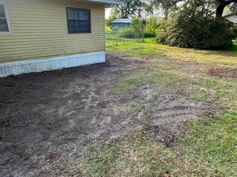 Yard cleared of brush and debris beside a home in Tampa, FL