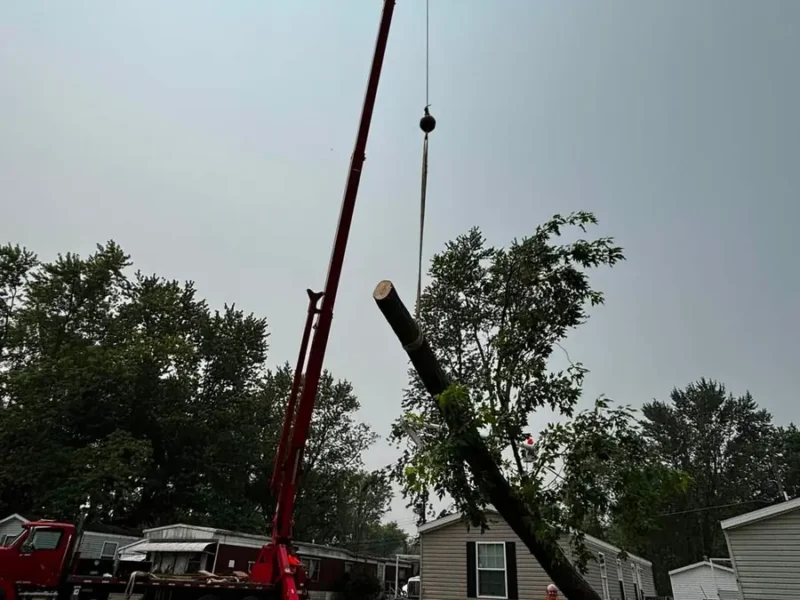 Crane lifting a large tree trunk section over homes in Tampa, FL