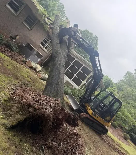 Excavator pulling out a tree and root ball during lot clearing in Tampa, FL