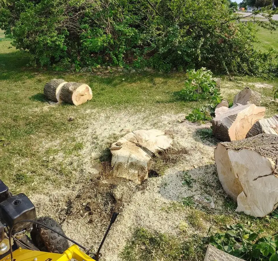 Stump grinder next to a tree stump and cut logs in a Tampa, FL yard